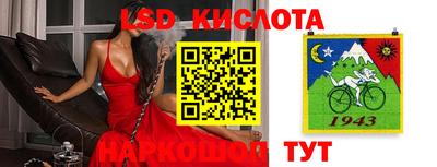 прущие крисы Заводоуковск