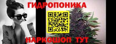 прущие крисы Заводоуковск
