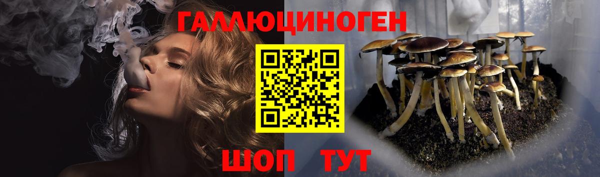 Галлюциногенные грибы MAGIC MUSHROOMS Людиново